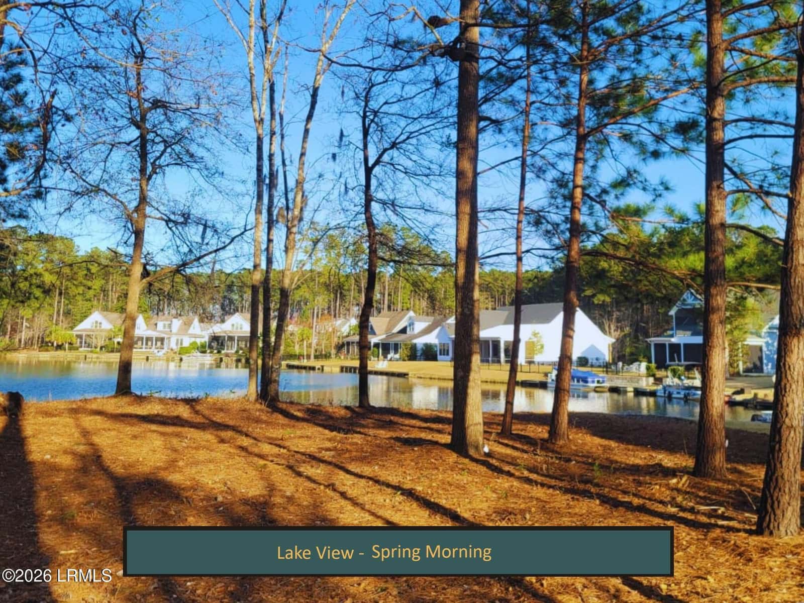 450 Hampton Lake Drive, Bluffton, SC 29910 — photo 4 of 44