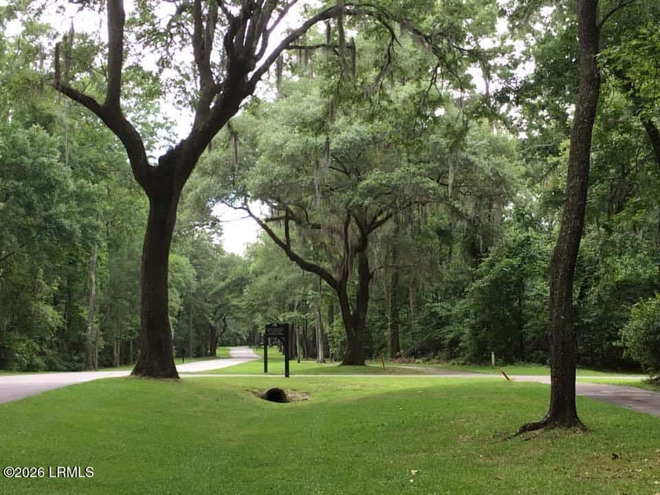 85 Tomotley Barony Drive, Seabrook, SC 29940 — photo 2 of 14