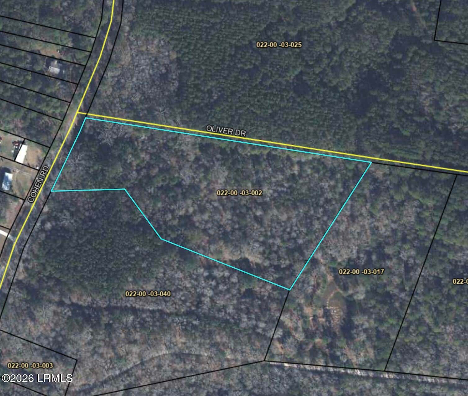 Tbd Cohen Road, Pineland, SC 29934 — photo 5 of 5