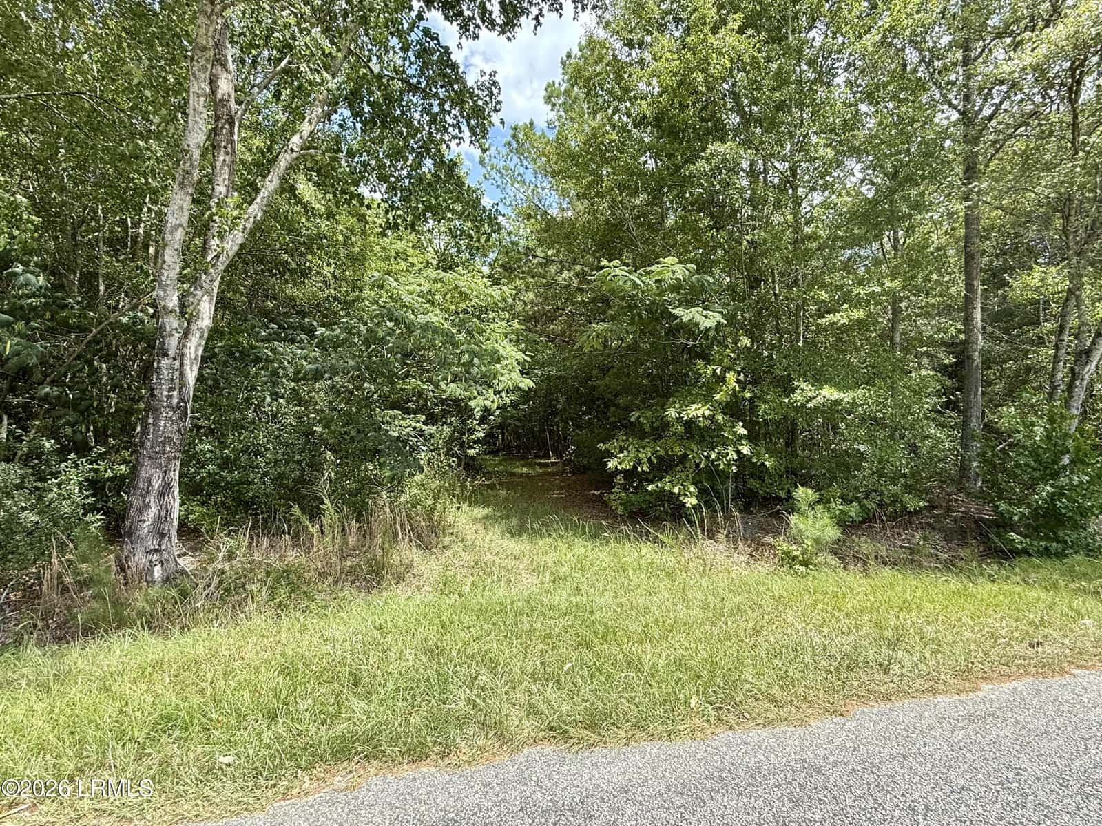 Tbd Cohen Road, Pineland, SC 29934 — photo 2 of 5