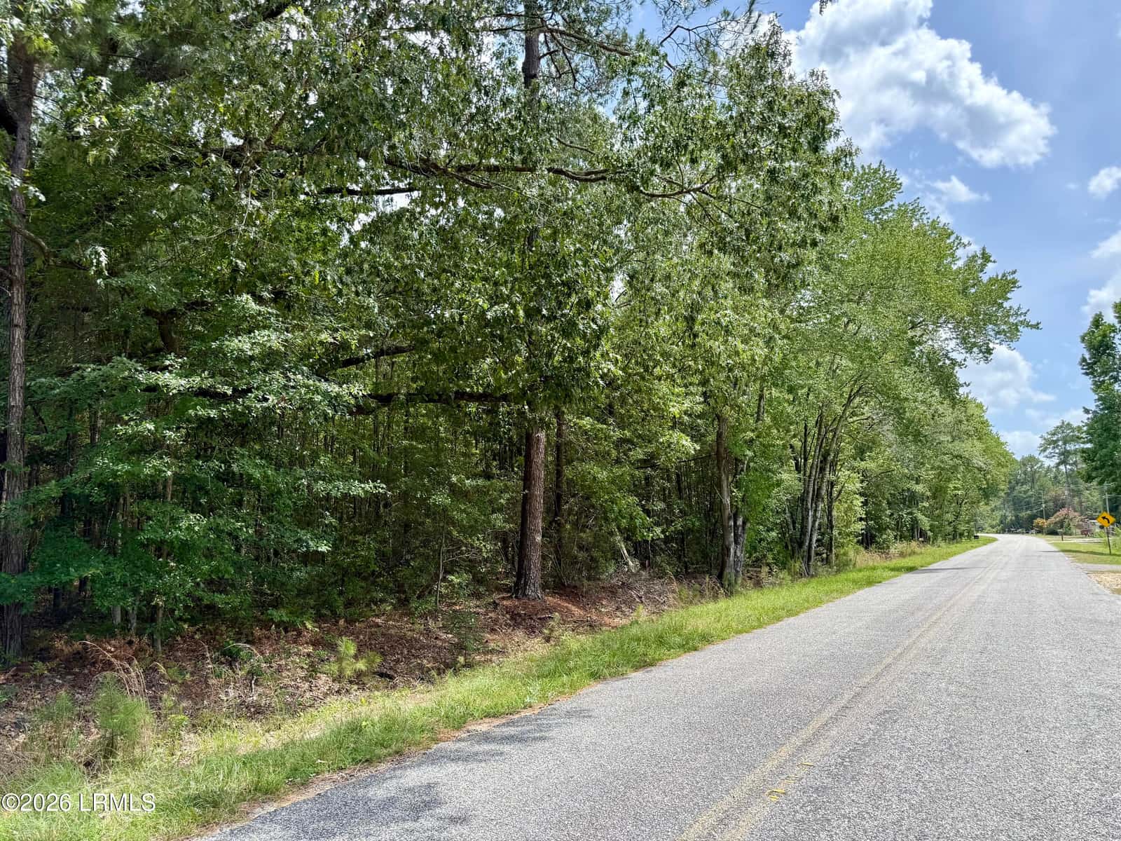 Tbd Cohen Road, Pineland, SC 29934 — photo 4 of 5