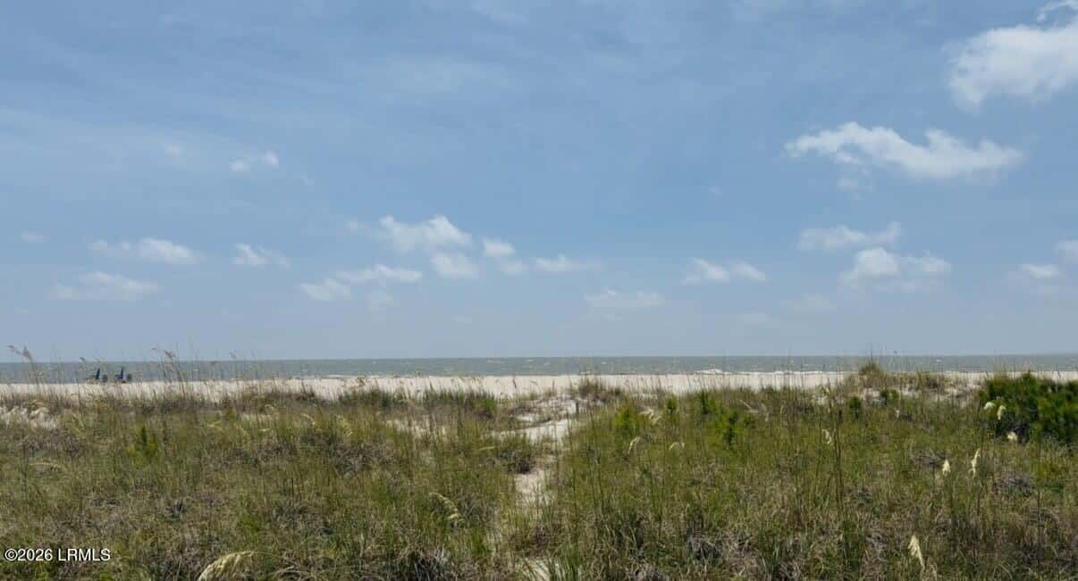 15 Green Wing Teal Road, Hilton Head Island, SC 29928 — photo 2 of 54
