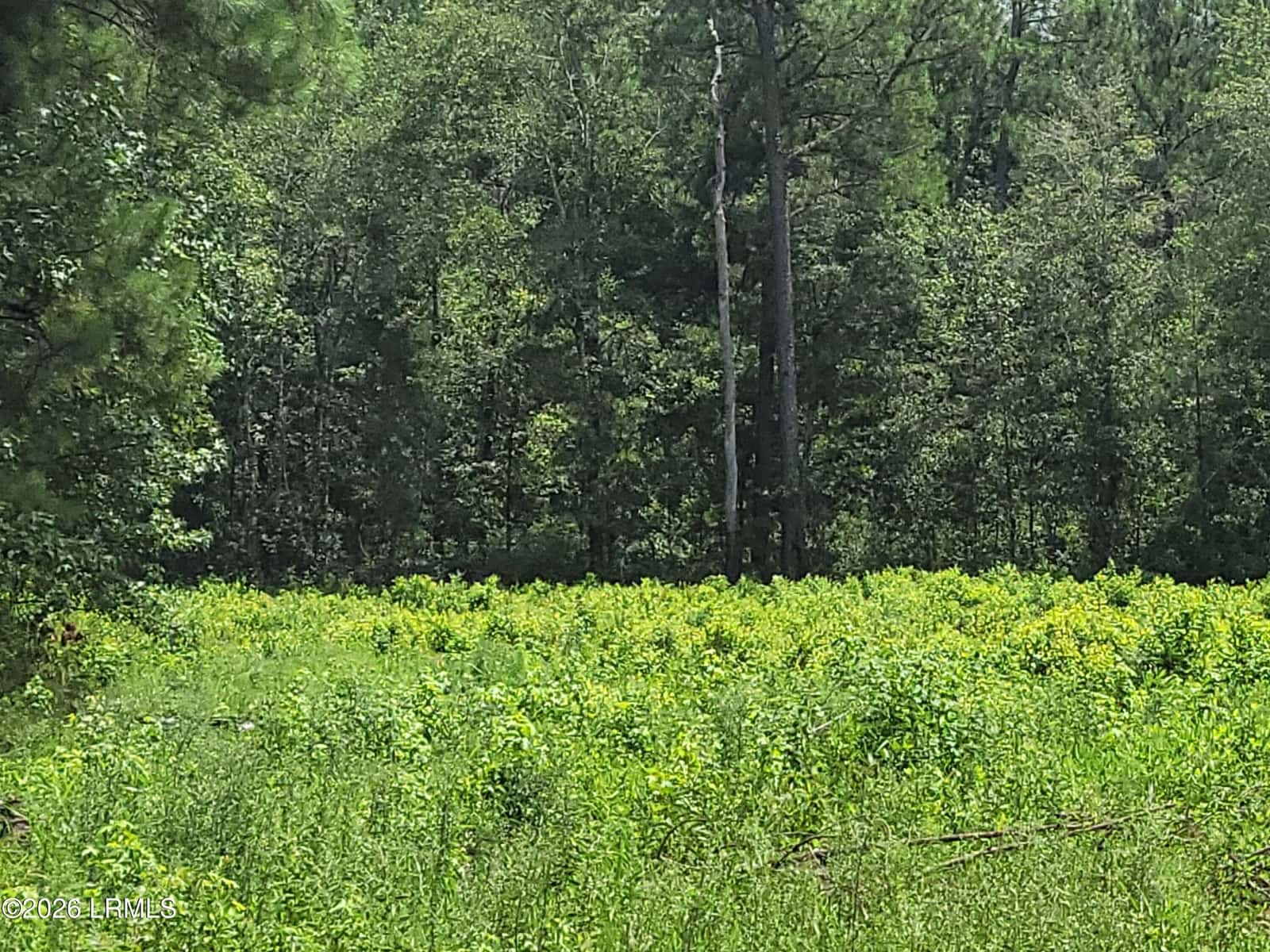 Tbd Toomerville Loop, Hardeeville, SC 29927 — photo 2 of 7
