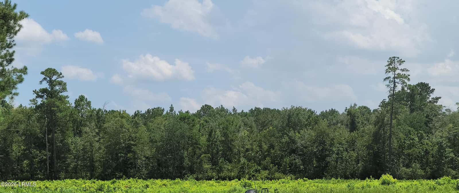 Tbd Toomerville Loop, Hardeeville, SC 29927 — photo 3 of 7