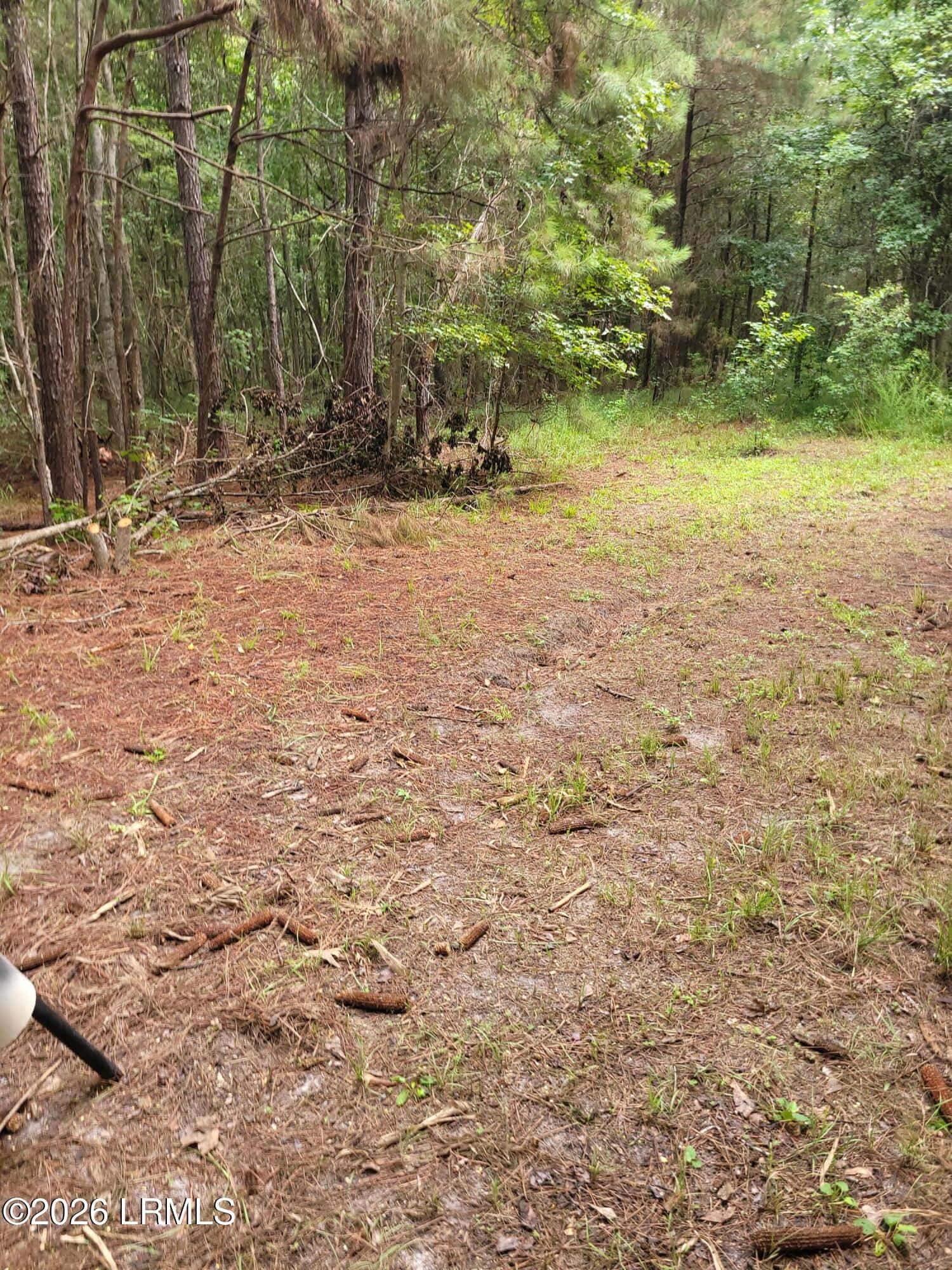 Tbd Toomerville Loop, Hardeeville, SC 29927 — photo 4 of 7