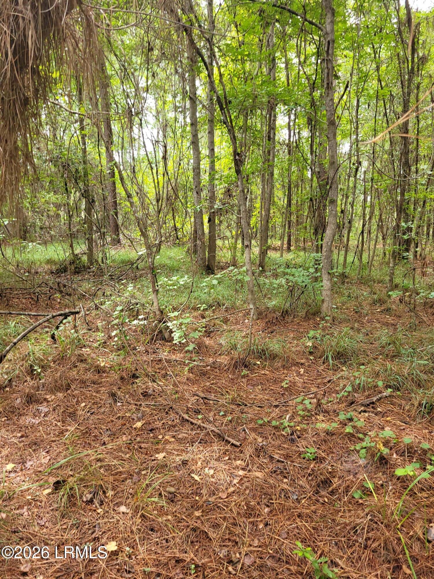 Tbd Toomerville Loop, Hardeeville, SC 29927 — photo 5 of 7