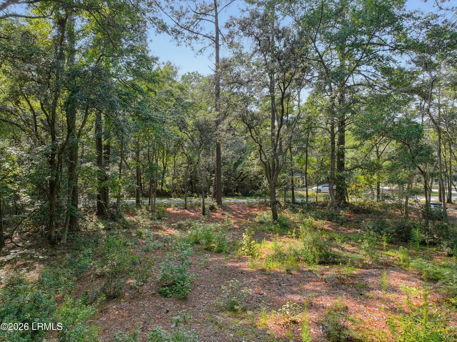 86 Wade Hampton Drive, Beaufort, SC 29907 — photo 3 of 10
