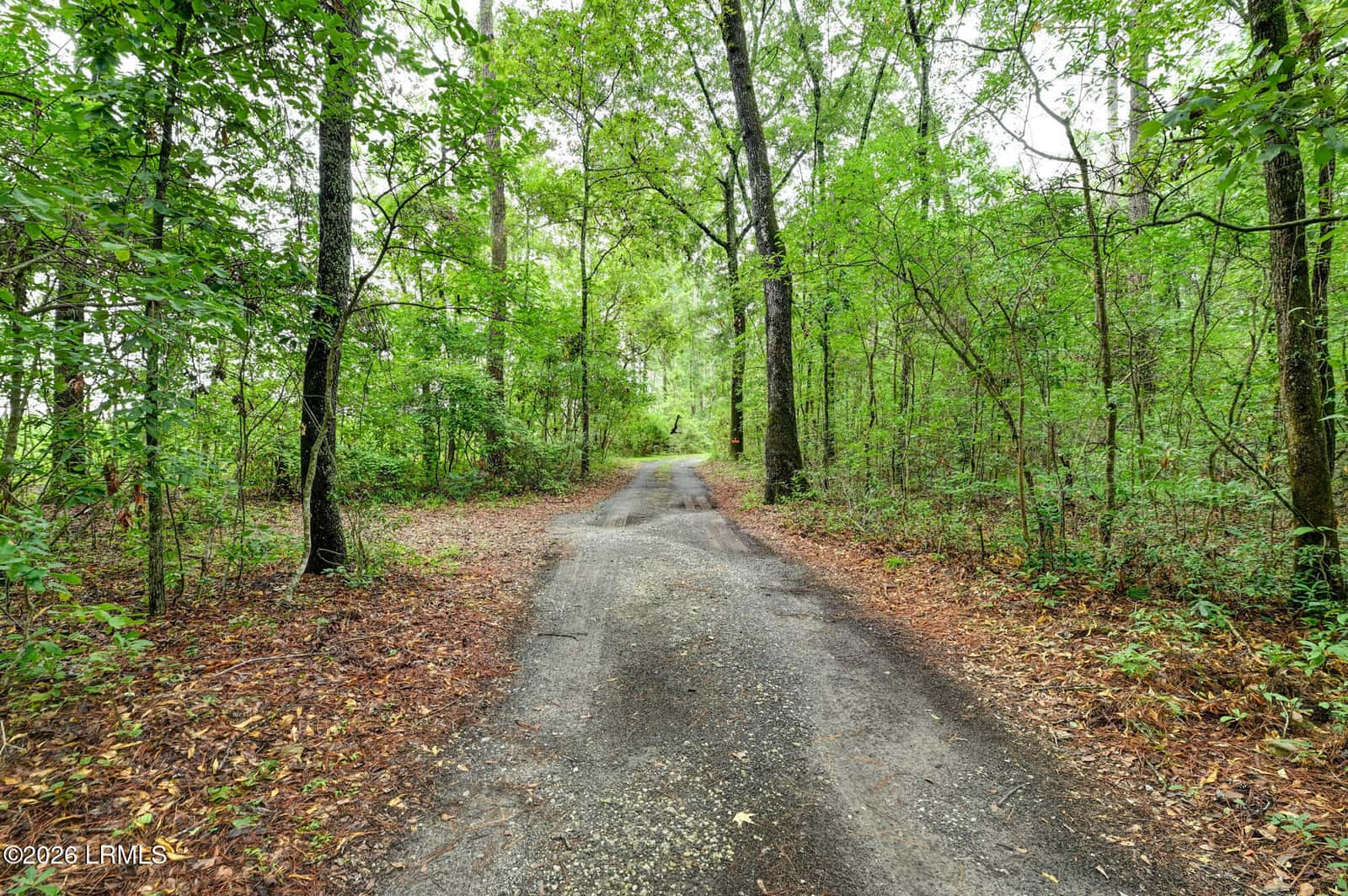 1196 Old House Road, Ridgeland, SC 29936 — photo 4 of 33