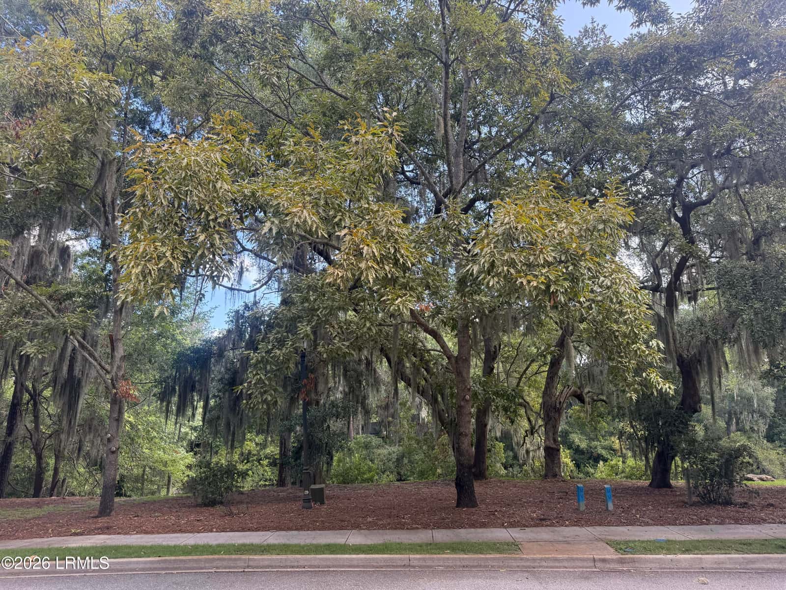 44 Celadon Drive, Beaufort, SC 29907 — photo 5 of 7