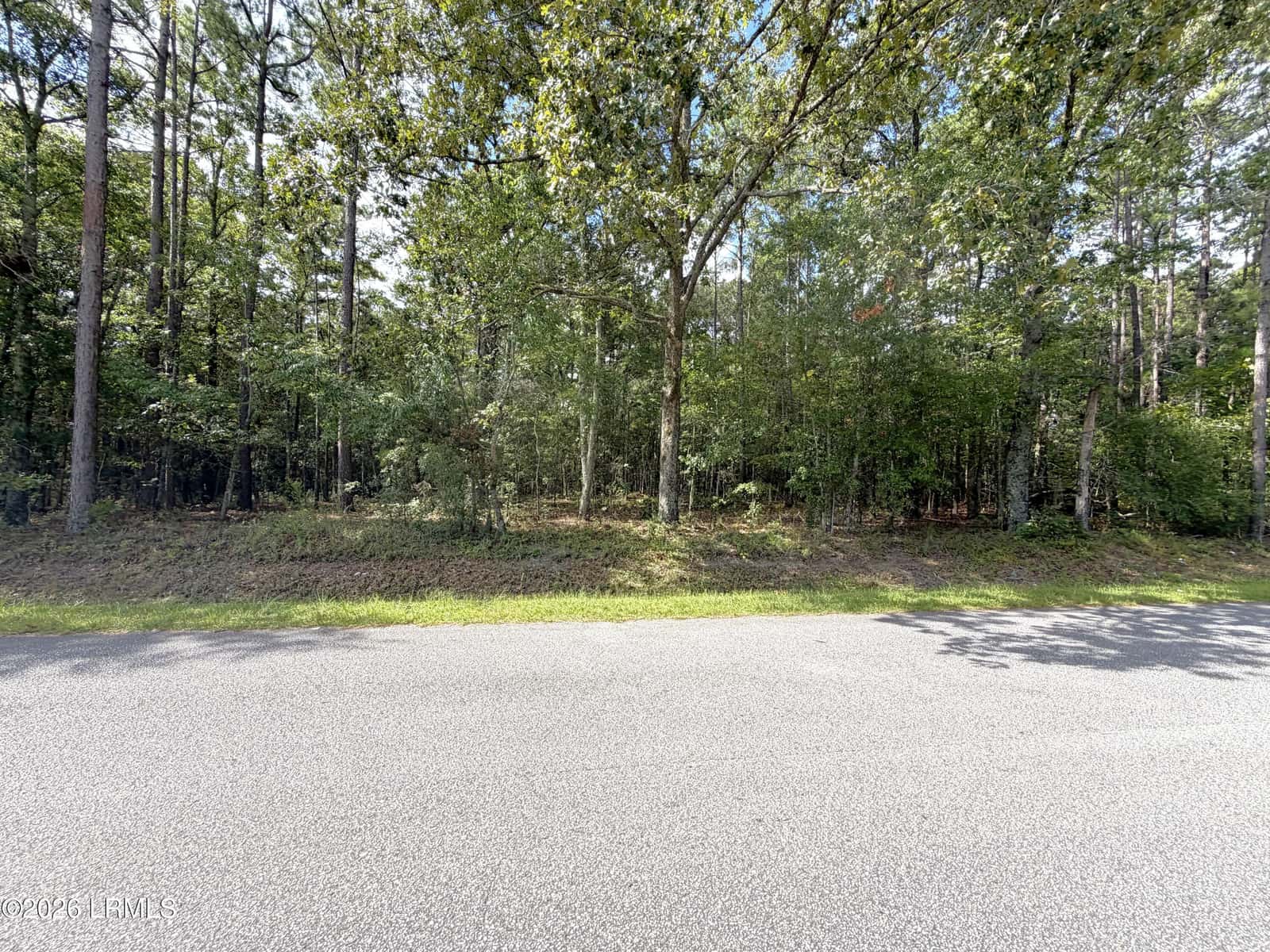 76 Honey Drive, Walterboro, SC 29488 — photo 4 of 8