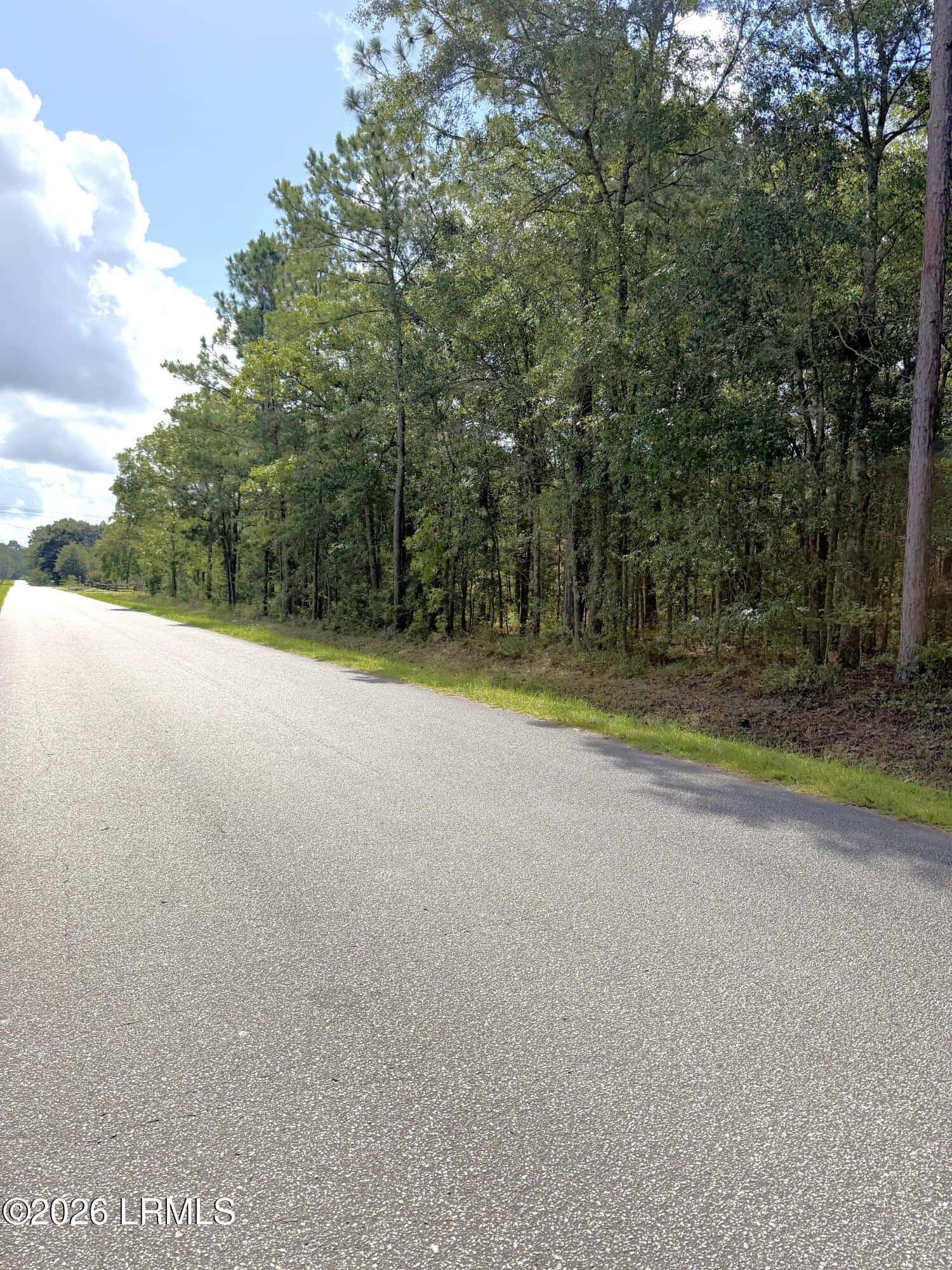 90 Honey Drive, Walterboro, SC 29488 — photo 2 of 6