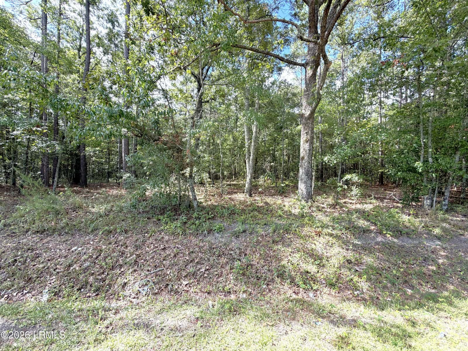 90 Honey Drive, Walterboro, SC 29488 — photo 4 of 6