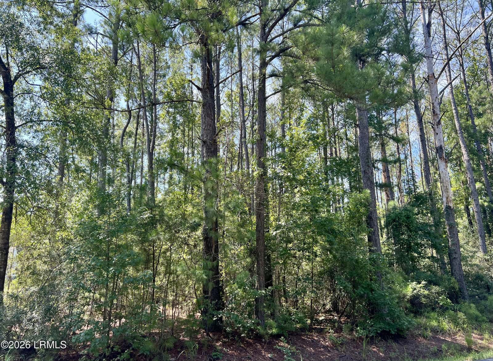 387 Founders Oak Way, Yemassee, SC 29945 — photo 4 of 15