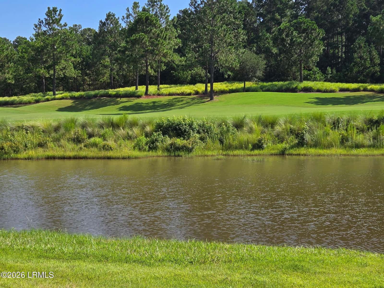 1118 Riverton Pointe Boulevard, Hardeeville, SC 29927 — photo 4 of 60