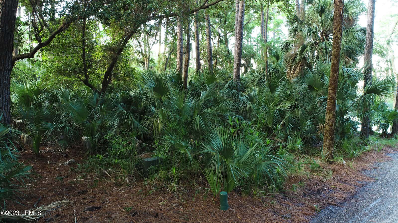 375 Yellow Tang Road, Fripp Island, SC 29920 — photo 2 of 8
