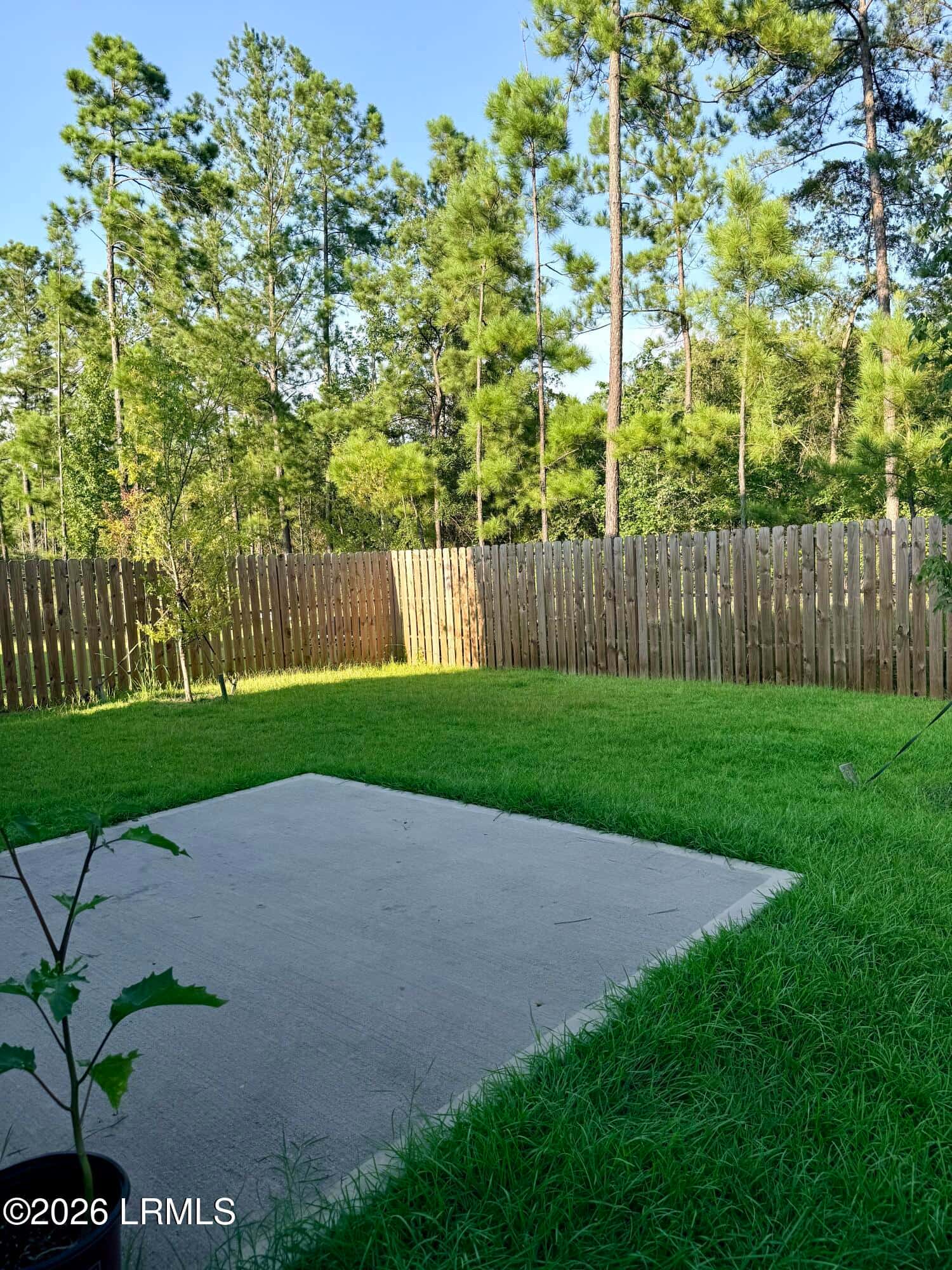 464 Sawmill Road, Hardeeville, SC 29927 — photo 4 of 22