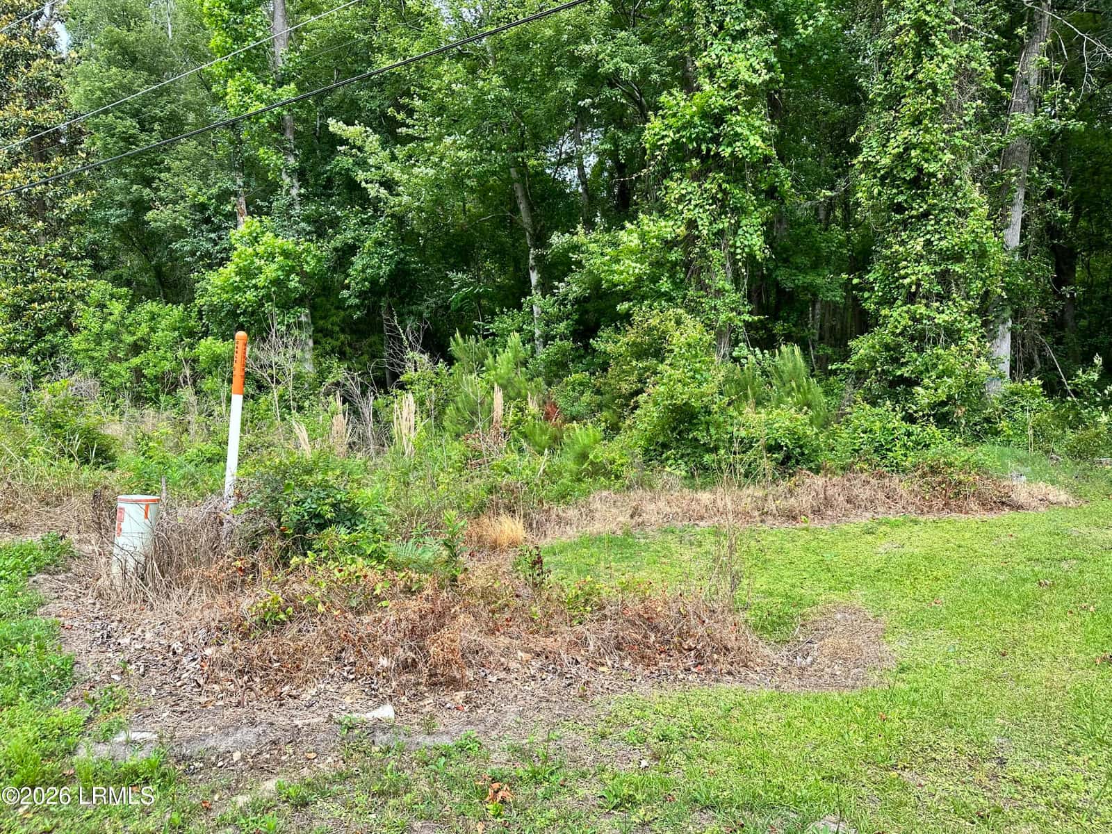 Lot 3 Estelle Road, Beaufort, SC 29906 — photo 2 of 6
