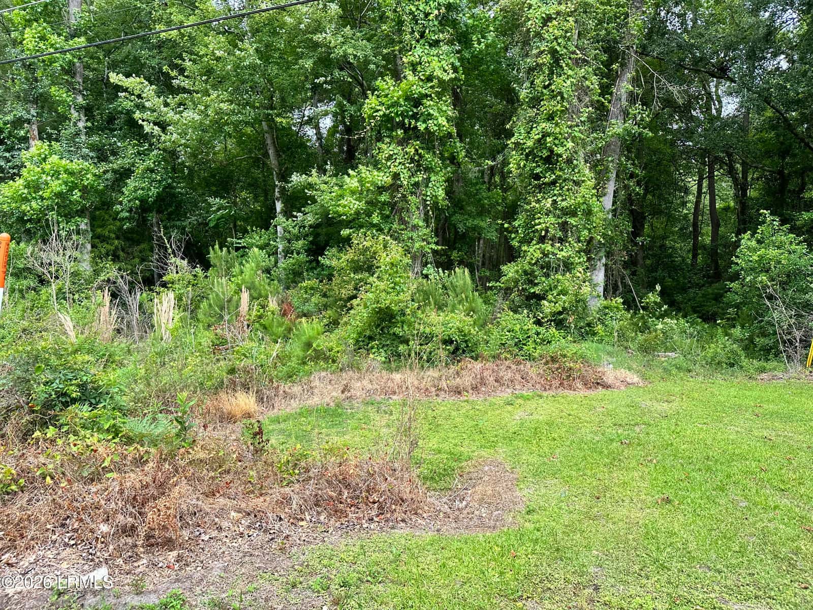 Lot 3 Estelle Road, Beaufort, SC 29906 — photo 3 of 6