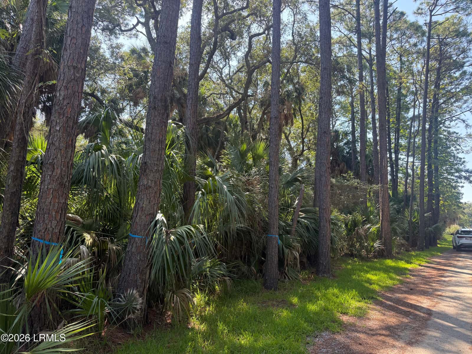 706 Seahorse Road, Fripp Island, SC 29920 — photo 3 of 10