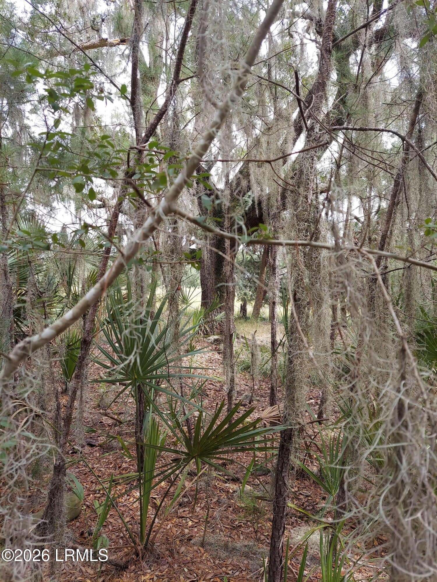 8 Governor Blake Drive, Beaufort, SC 29907 — photo 2 of 3