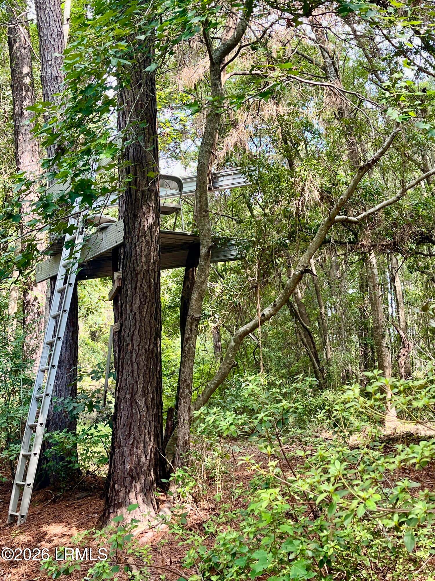 331 Orange Grove Road, St. Helena Island, SC 29920 — photo 5 of 20