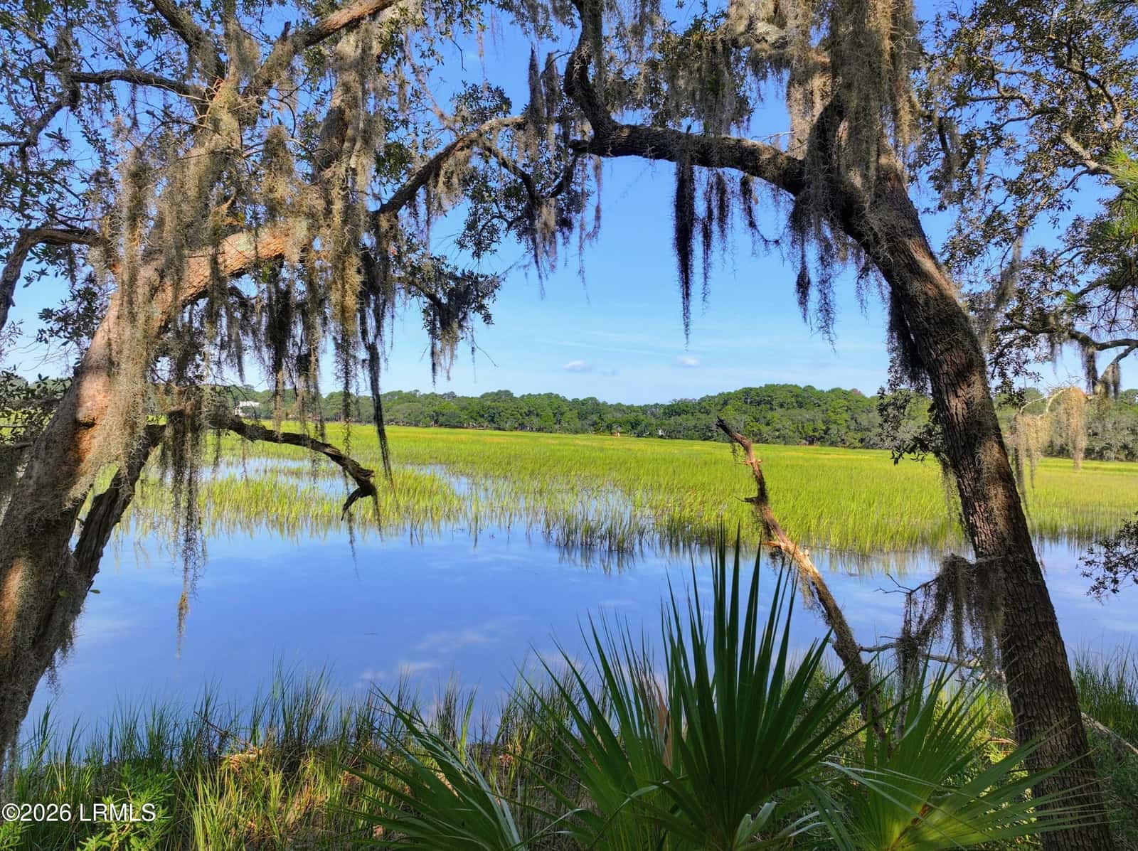 38 Cameroon Drive, Beaufort, SC 29907 — photo 4 of 20