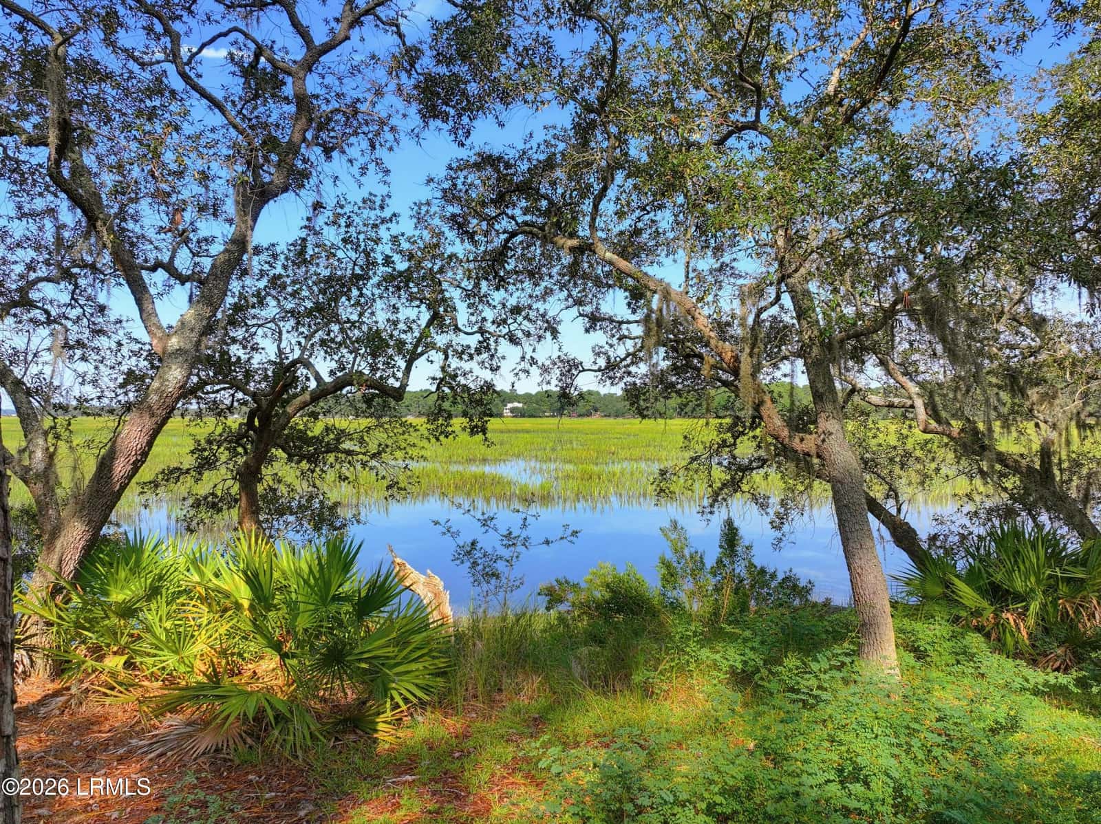 38 Cameroon Drive, Beaufort, SC 29907 — photo 5 of 20