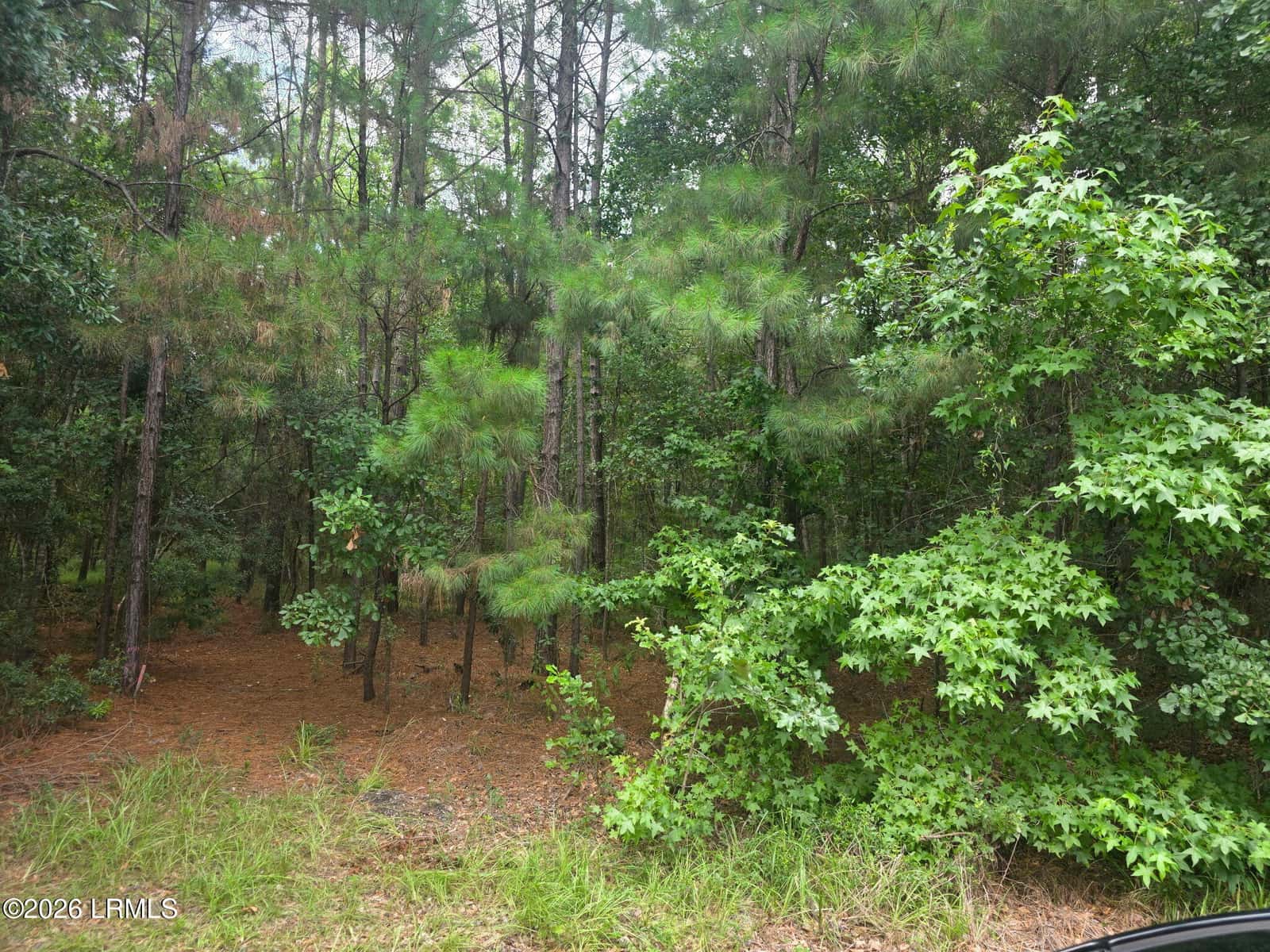1611 S Okatie Highway, Hardeeville, SC 29927 — photo 3 of 7
