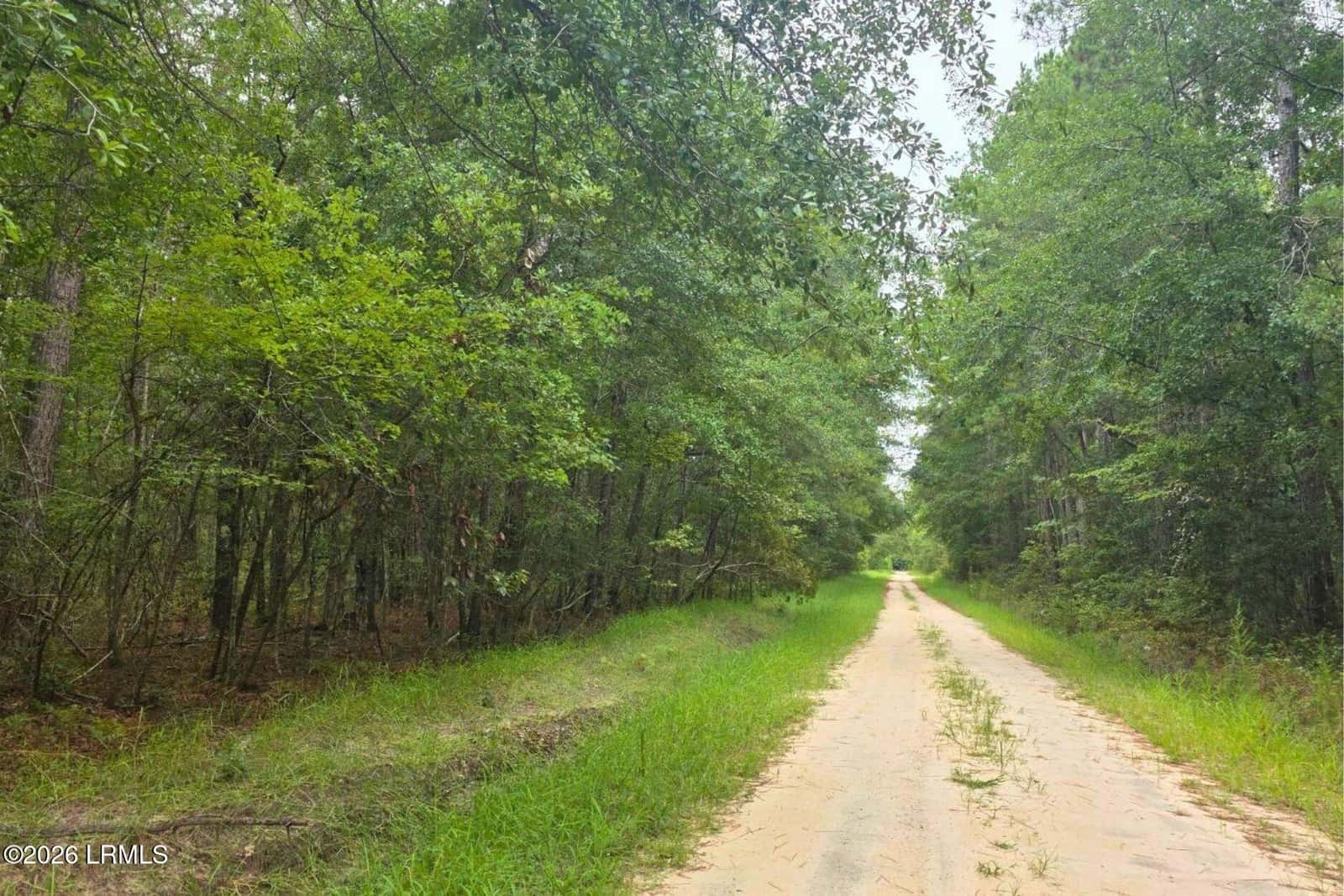 00 Wade Hampton Road, Hampton, SC 29924 — photo 4 of 16