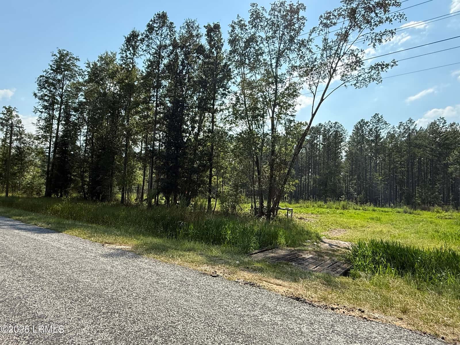Tbd Cohen Road, Pineland, SC 29934