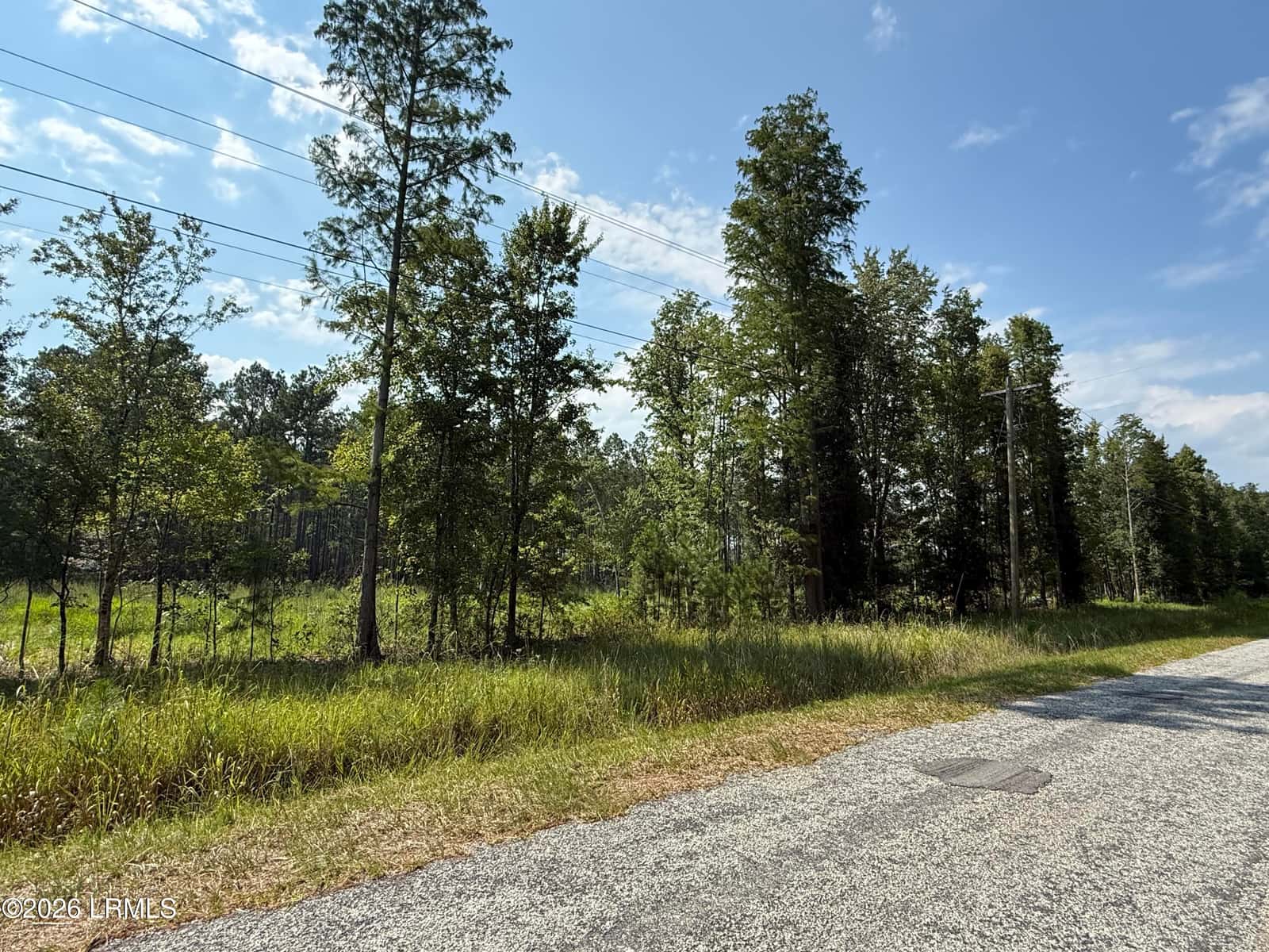Tbd Cohen Road, Pineland, SC 29934 — photo 2 of 10