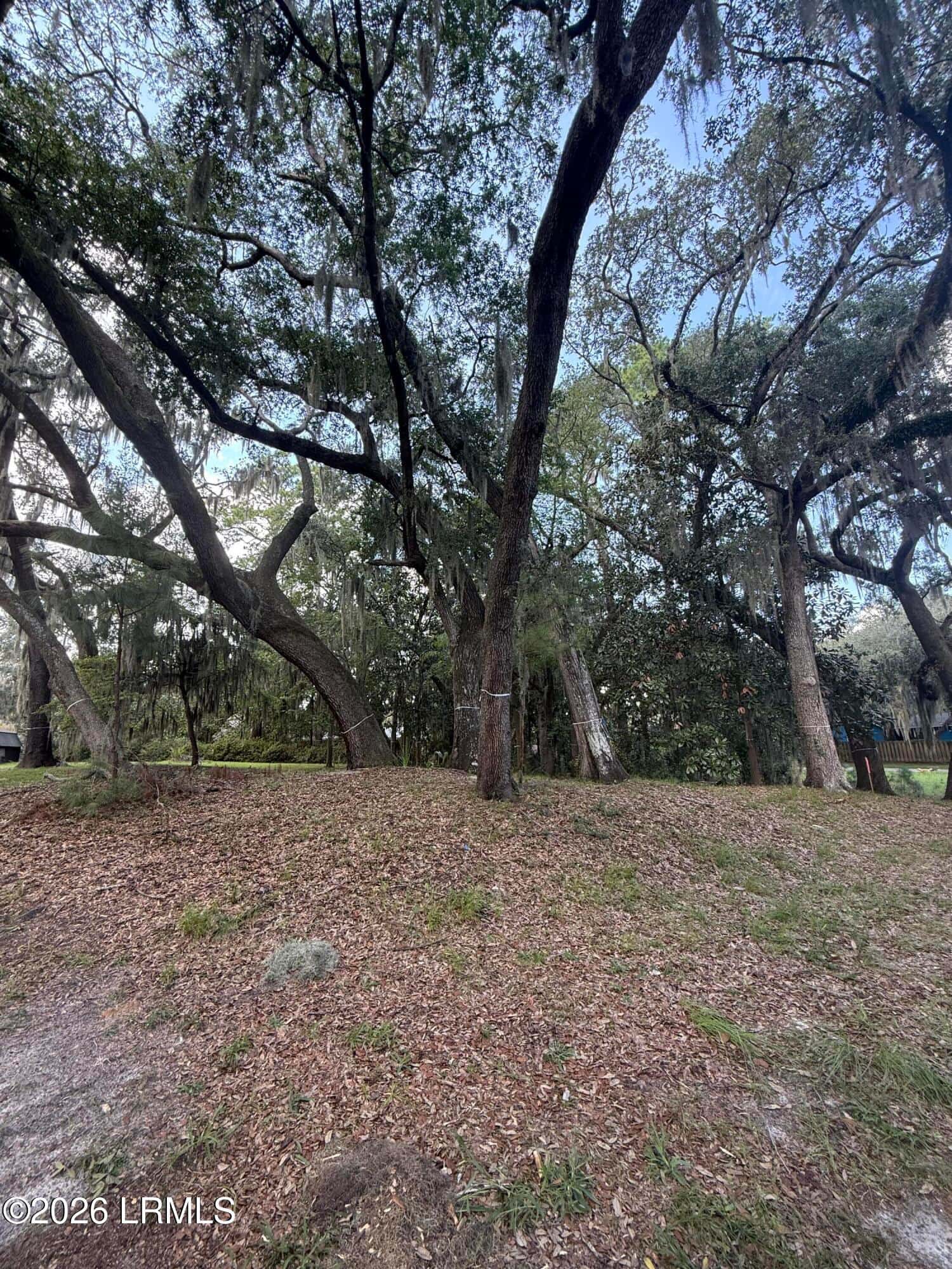 616 Huguenin Drive, Beaufort, SC 29902 — photo 4 of 8