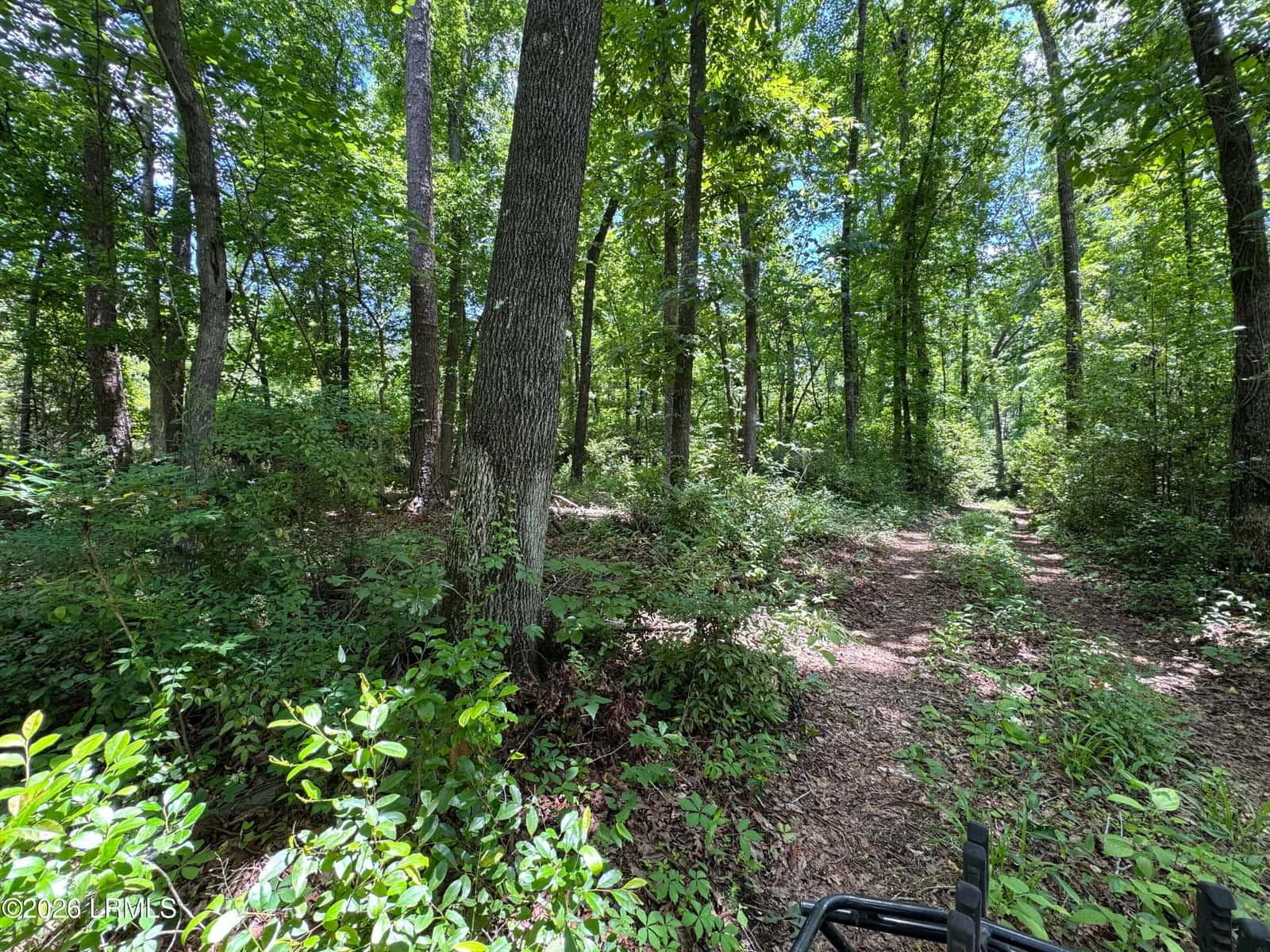 Tbd B Confederate Highway, Fairfax, SC 29827 — photo 4 of 11