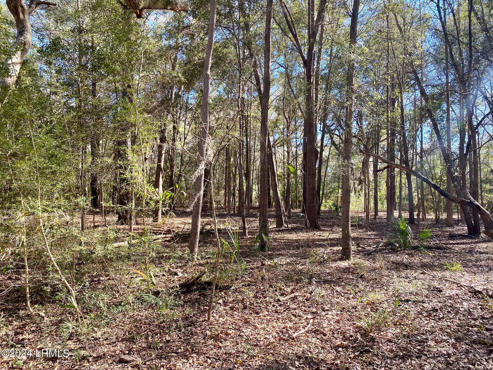 31 Honeysuckle Lane, Beaufort, SC 29907 — photo 4 of 13