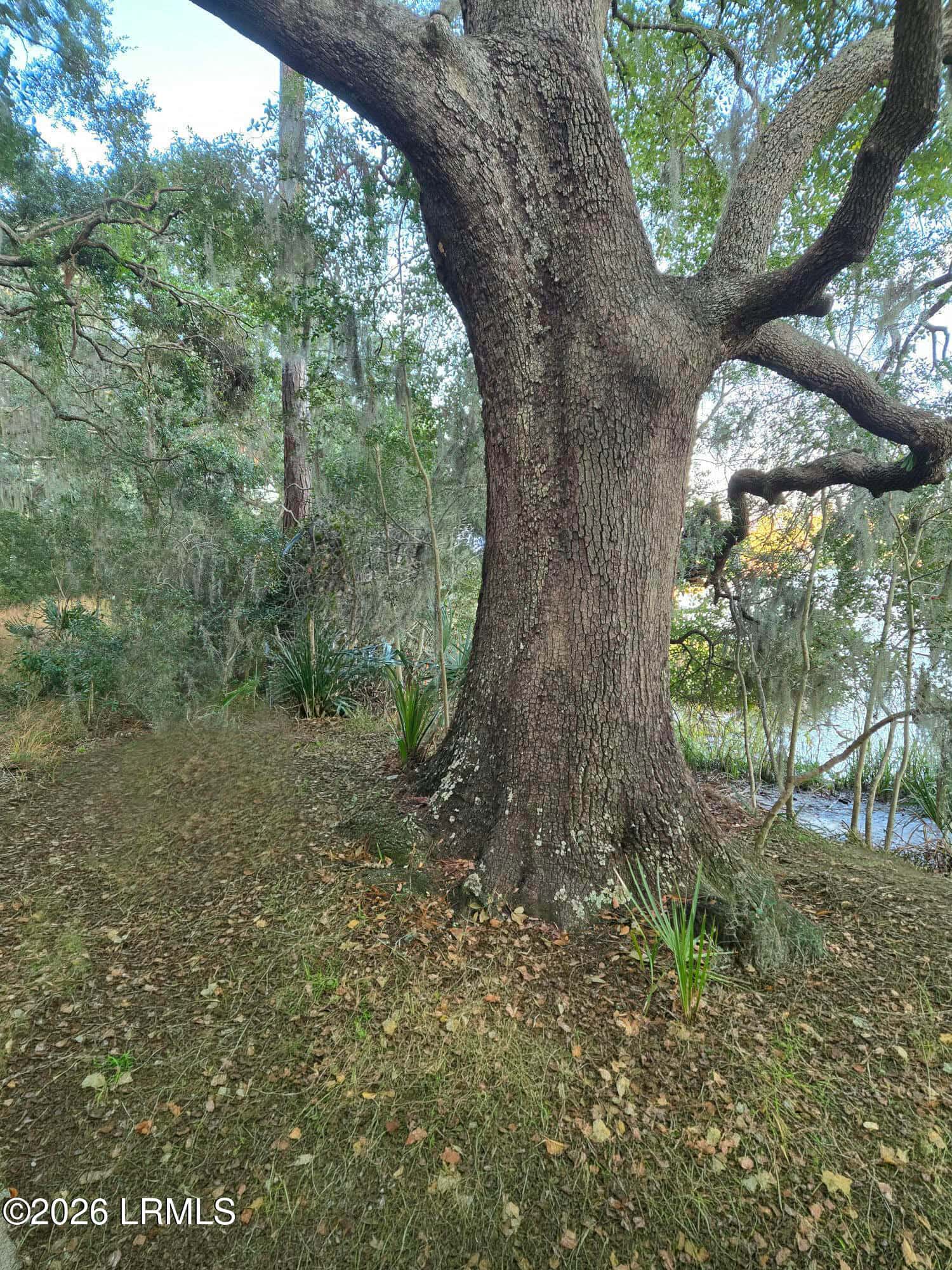 198 Bull Point Drive, Seabrook, SC 29940 — photo 4 of 6