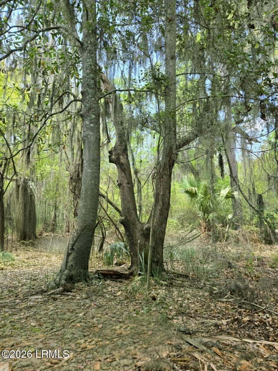 198 Bull Point Drive, Seabrook, SC 29940 — photo 5 of 6