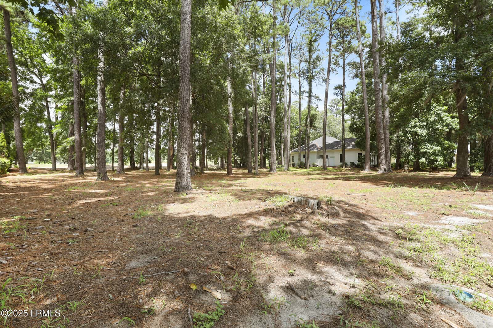47 Manchester Court, Bluffton, SC 29910 — photo 5 of 30
