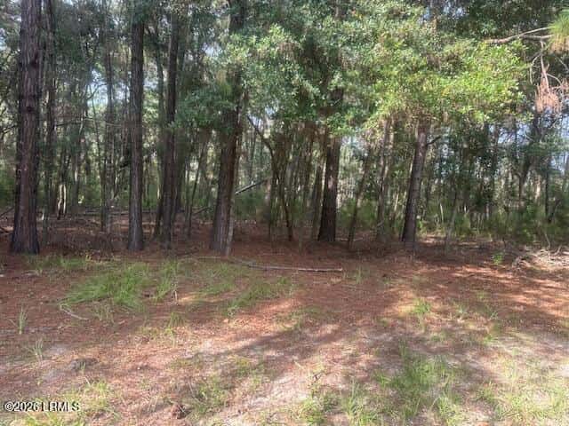 13 Diana Lane, Beaufort, SC 29907 — photo 2 of 3