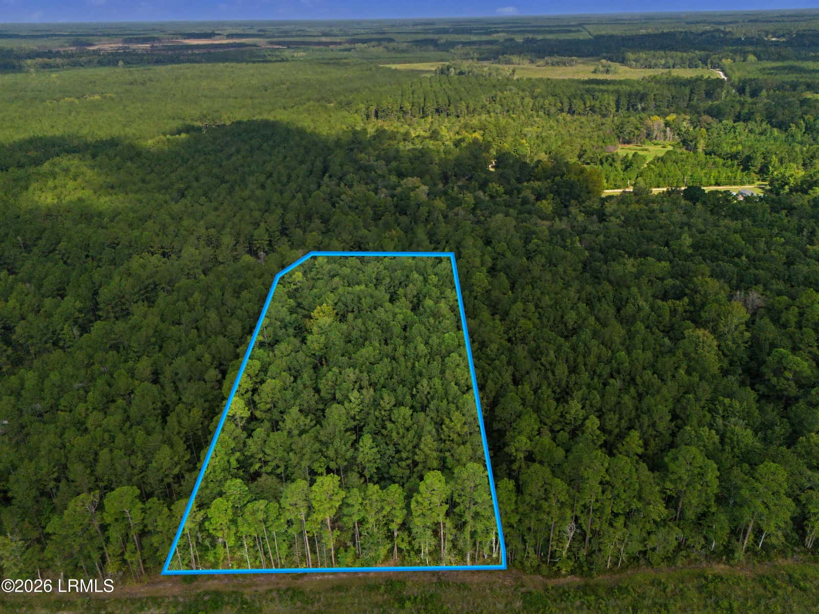0 Tree Farm Road, Walterboro, SC 29488 — photo 2 of 30