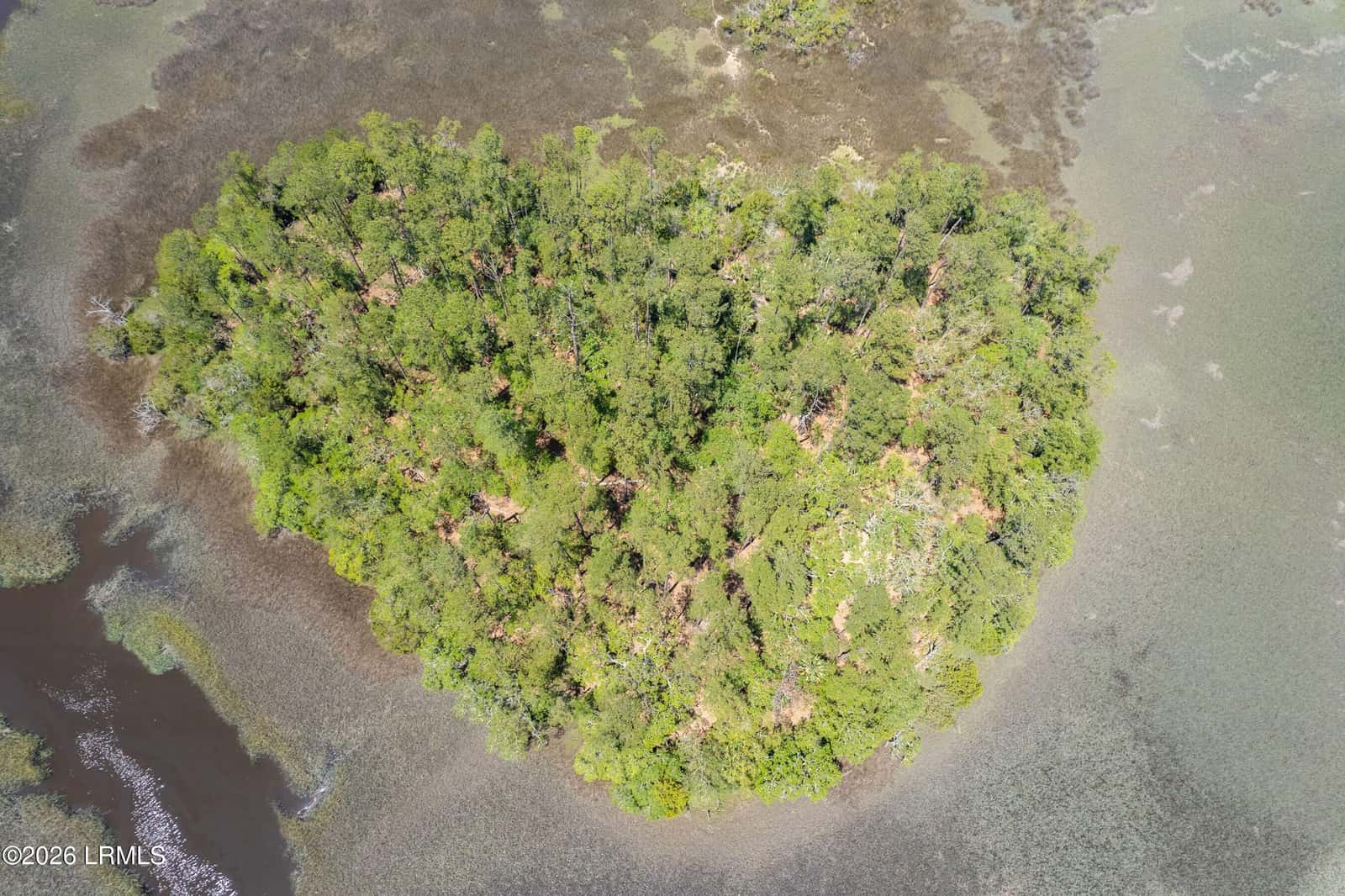 Tbd Wimbee Creek Island, Seabrook, SC 29940 — photo 2 of 19