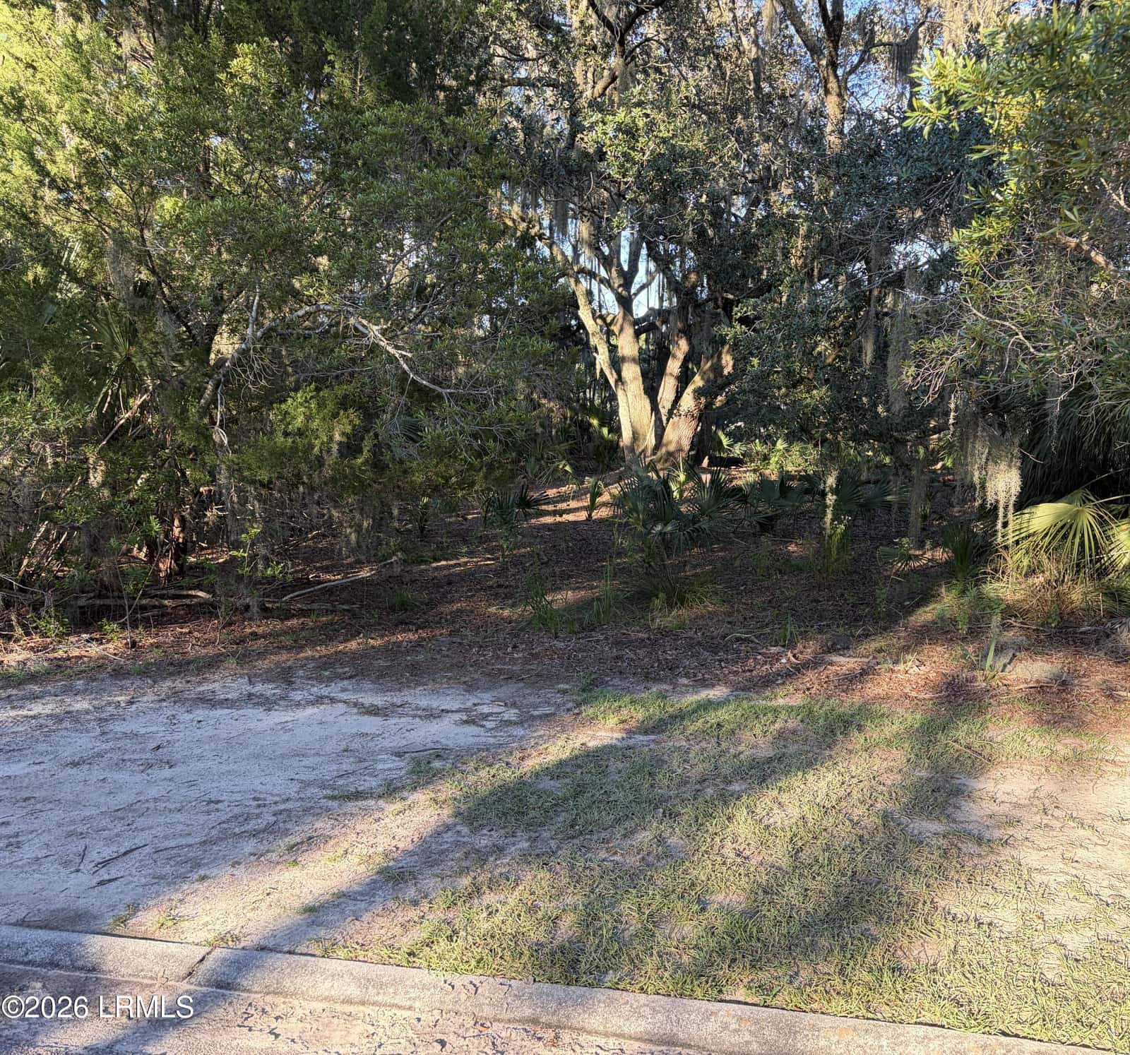 4 Governor Blake Drive, Beaufort, SC 29907 — photo 4 of 12