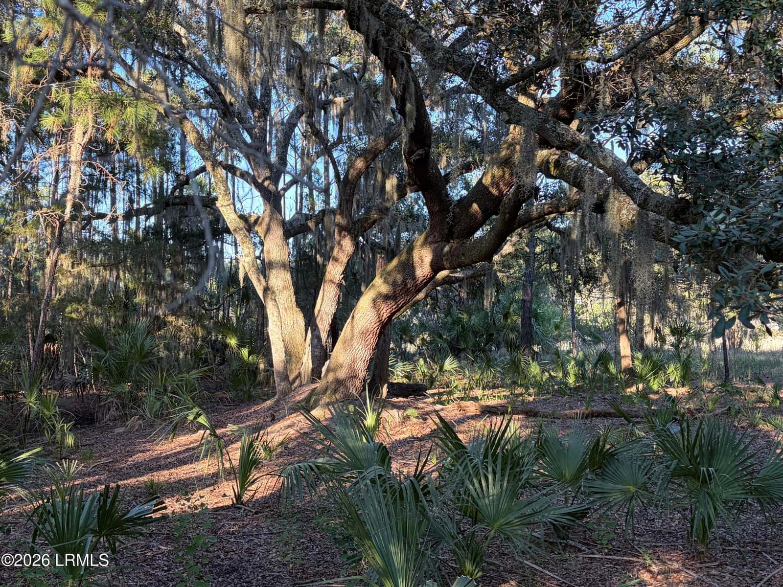 4 Governor Blake Drive, Beaufort, SC 29907 — photo 5 of 12