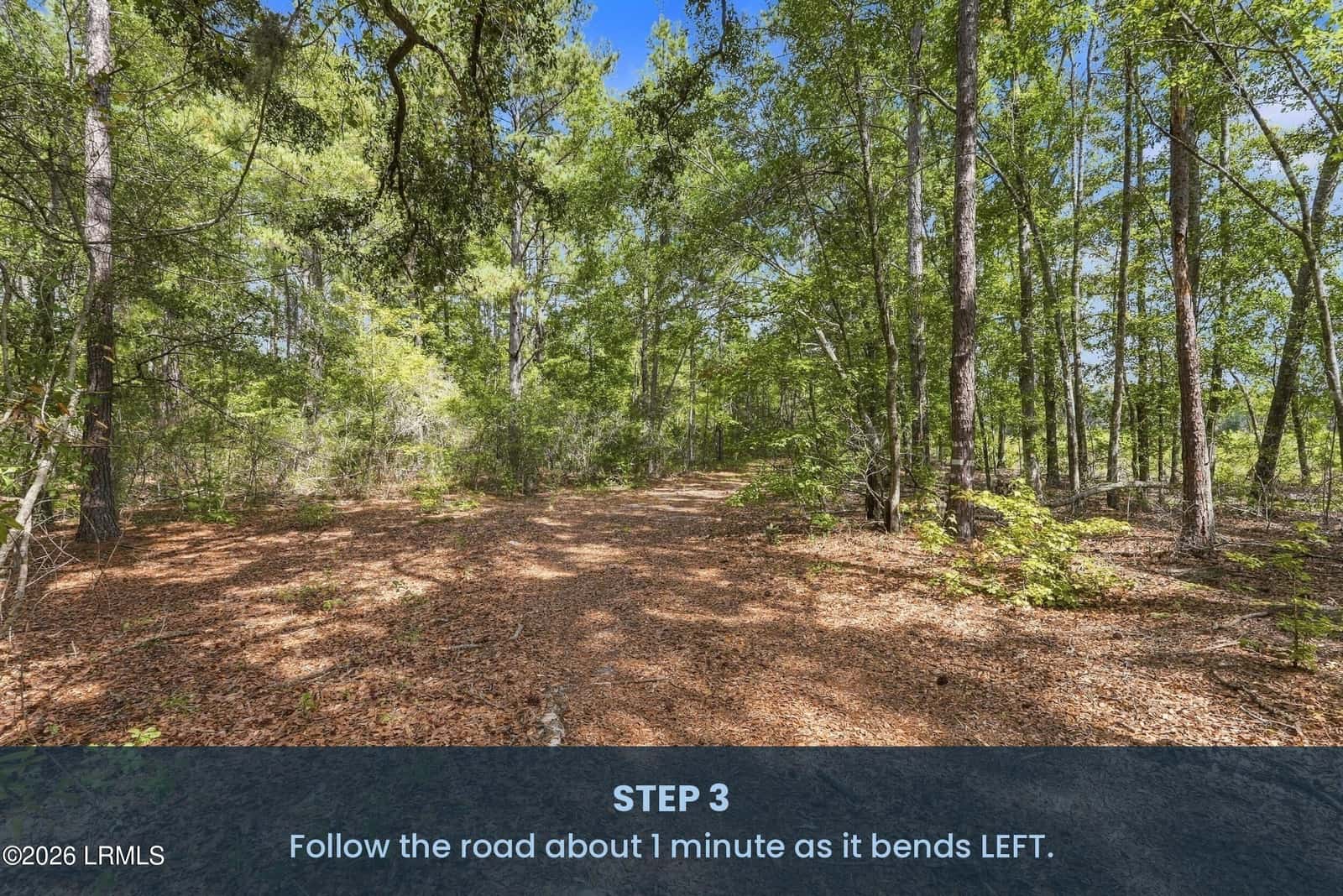 Tbd Calf Pen Bay Road, Pineland, SC 29934 — photo 5 of 14