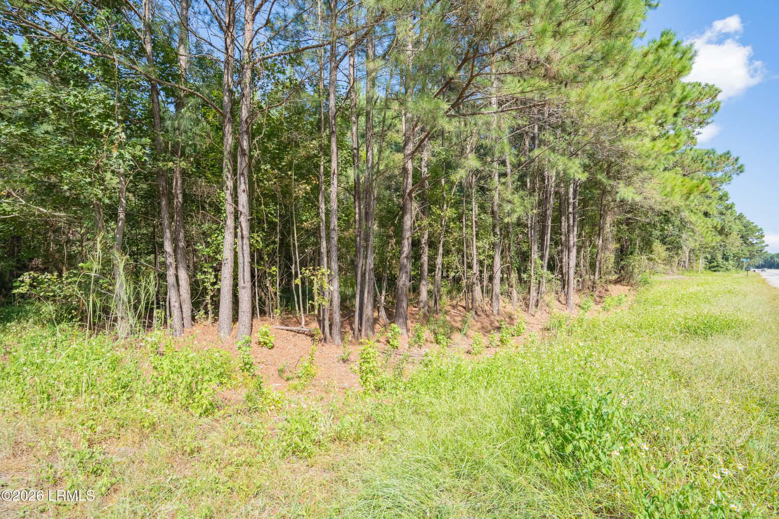 18 Mustang Lane, St. Helena Island, SC 29920 — photo 3 of 4