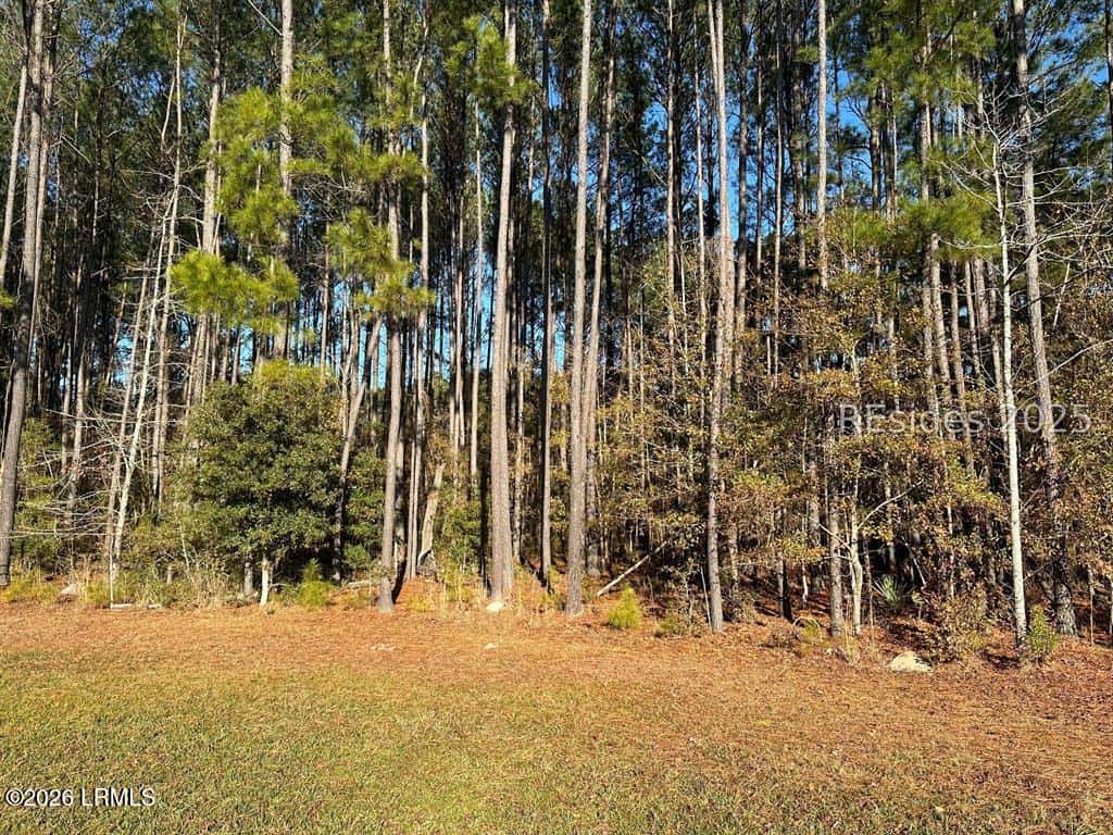 899 Somerset Drive, Yemassee, SC 29945 — photo 4 of 10