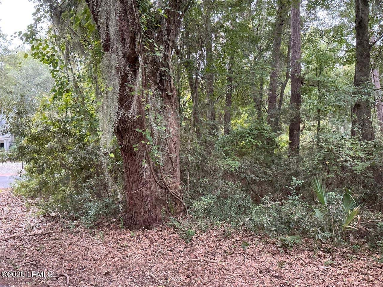 80 N Boone Road, St. Helena Island, SC 29920 — photo 3 of 22