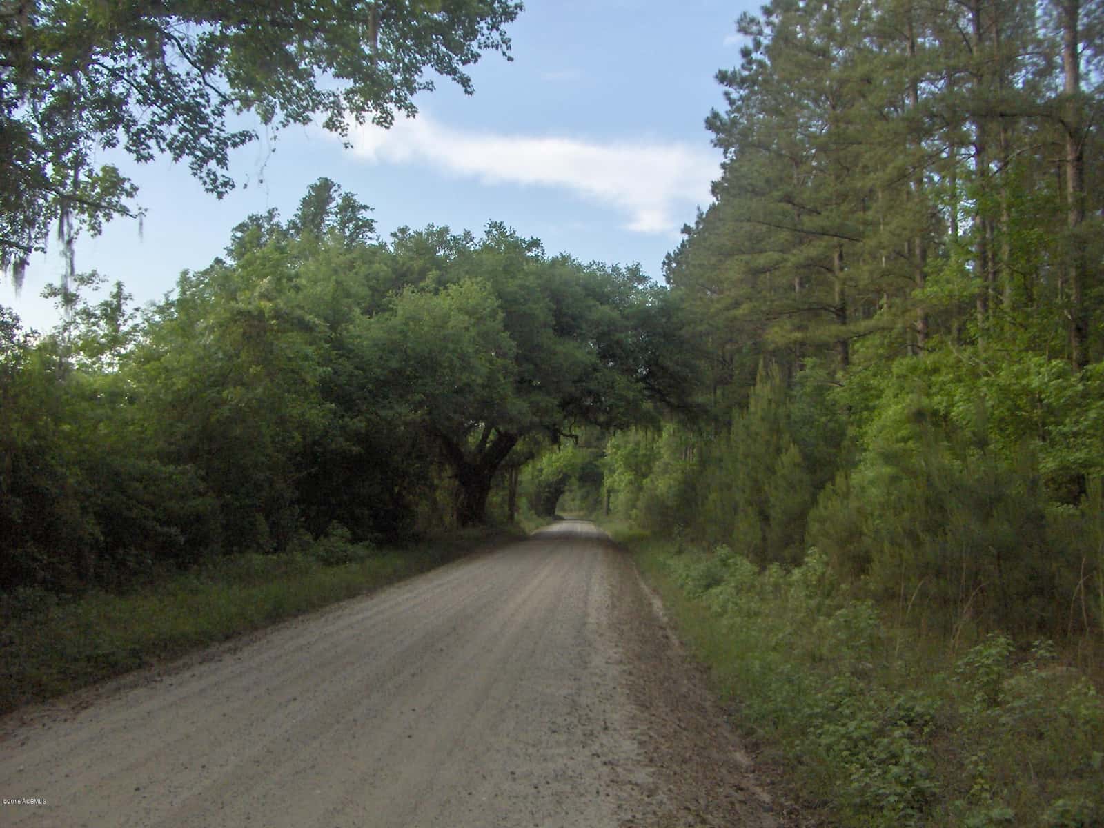 0000 Jasper Station Road, Ridgeland, SC 29936 — photo 4 of 9