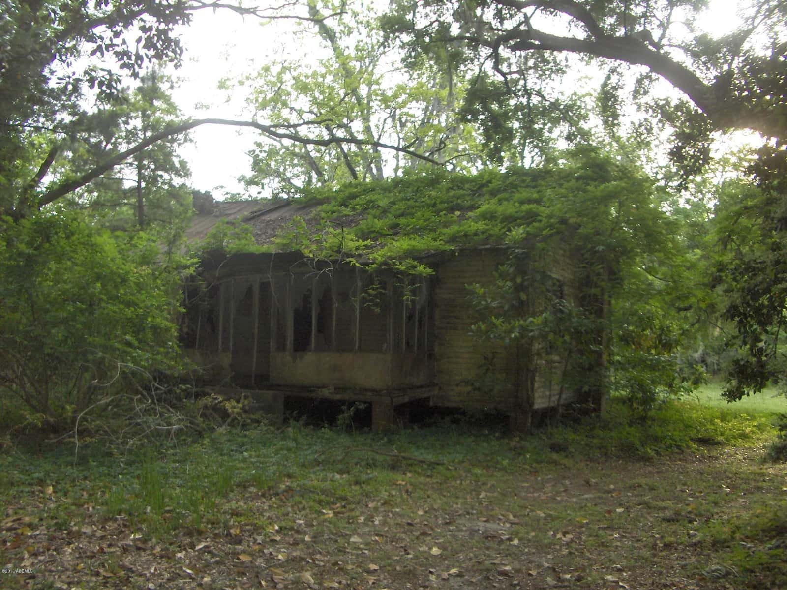 0000 Jasper Station Road, Ridgeland, SC 29936 — photo 5 of 9