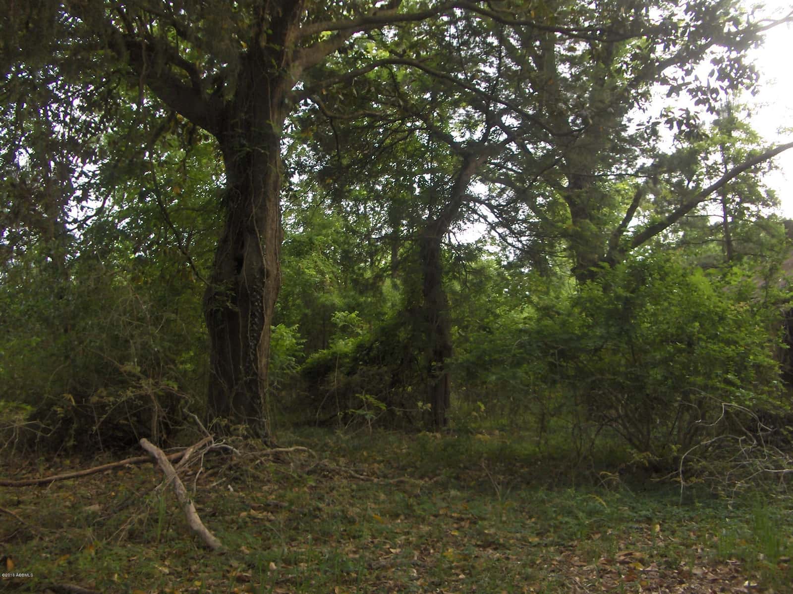0000 Jasper Station Road, Ridgeland, SC 29936 — photo 7 of 9