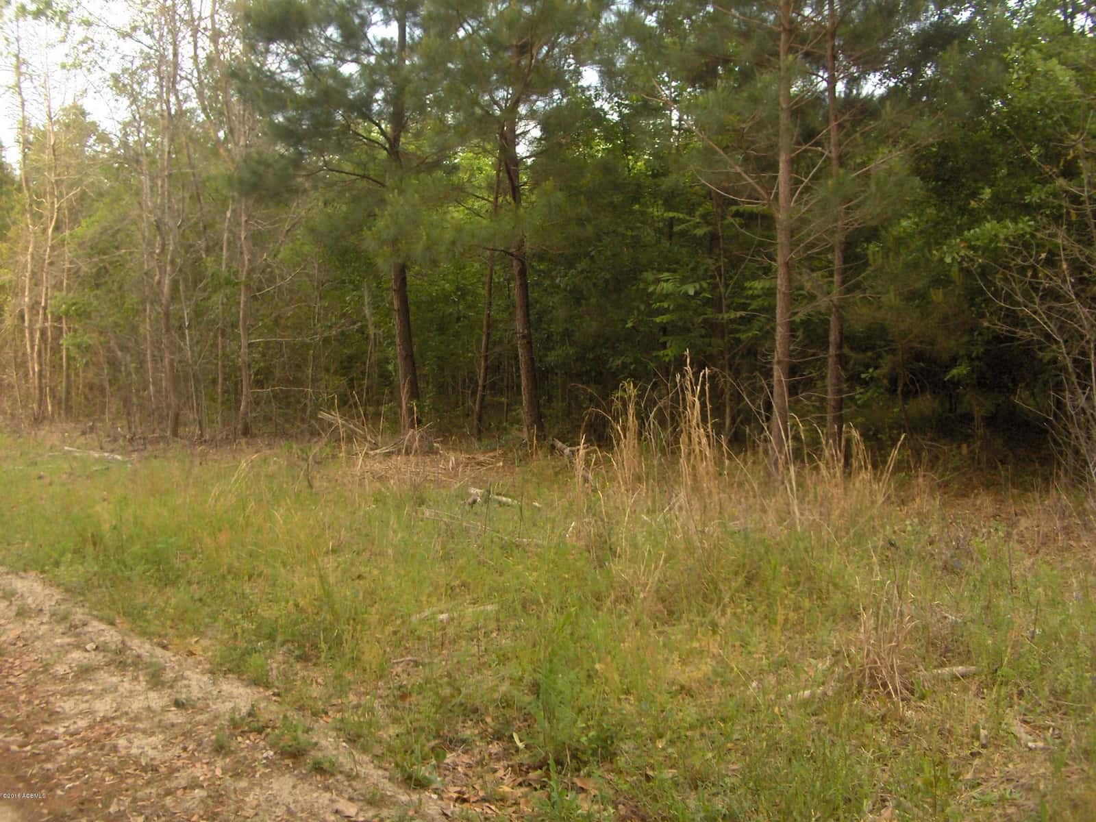 0000 Jasper Station Road, Ridgeland, SC 29936 — photo 8 of 9